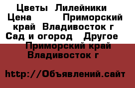 Цветы :Лилейники › Цена ­ 100 - Приморский край, Владивосток г. Сад и огород » Другое   . Приморский край,Владивосток г.